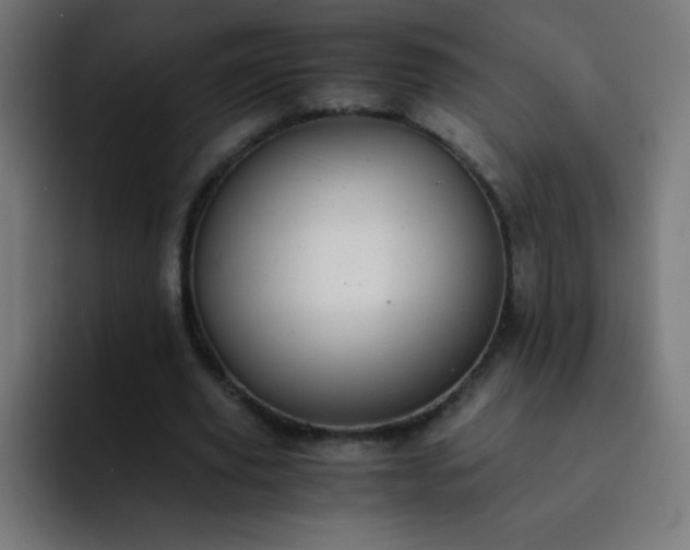 X0000093100629200710031830