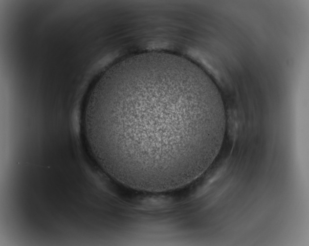 X0000093100631200710031830