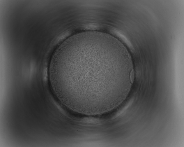 X0000093100633200710031830