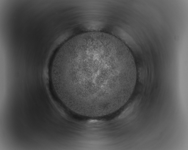 X0000093100634200710031830