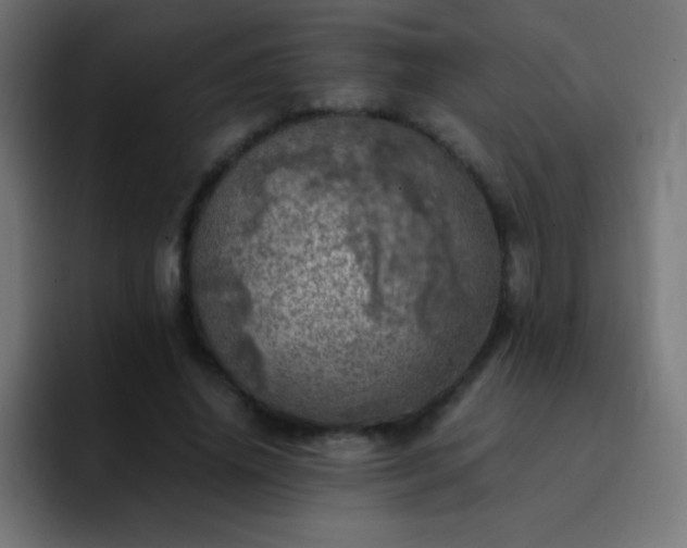 X0000093100636200710031830