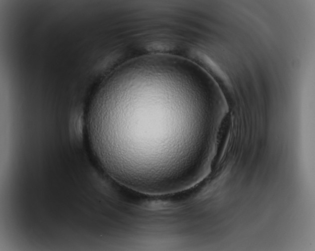 X0000093100637200710031830