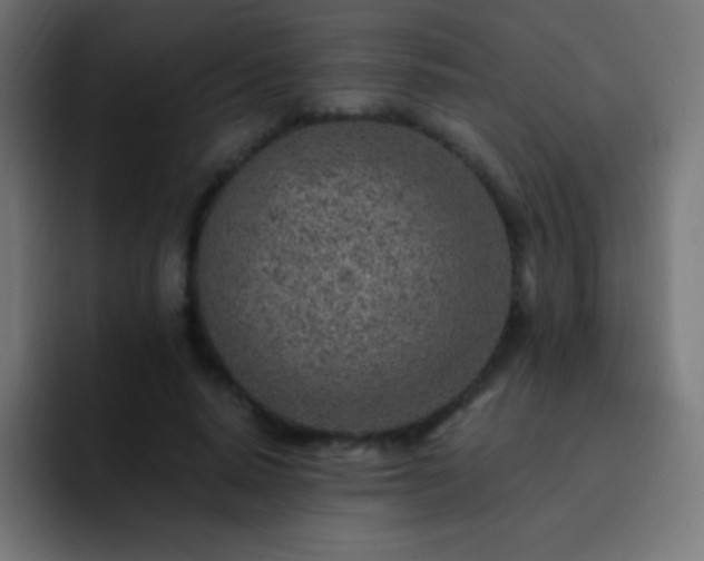 X0000093100640200710031830