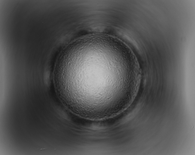 X0000093100641200710031830