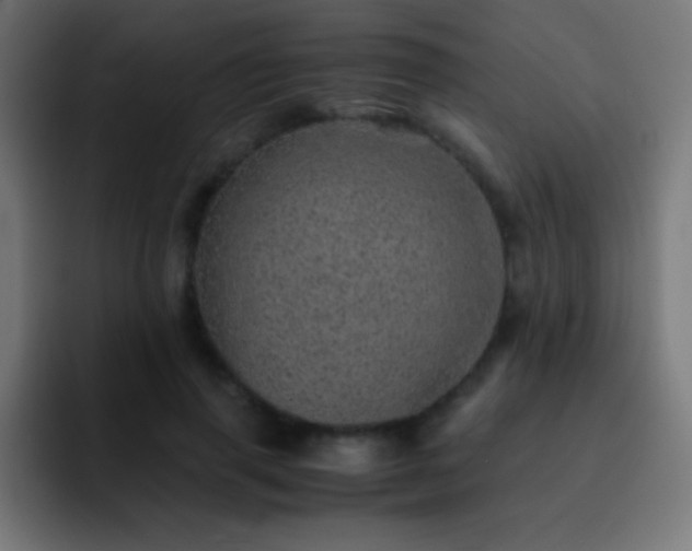 X0000093100645200710031830