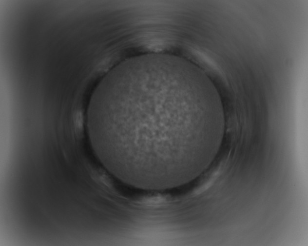 X0000093100646200710031830