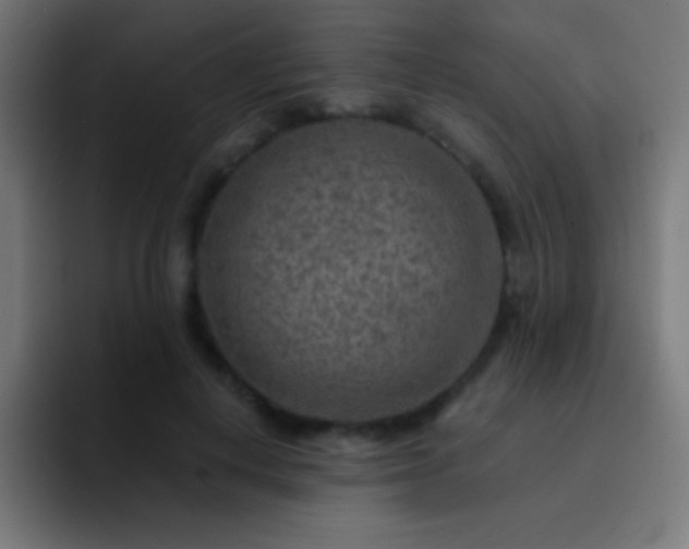 X0000093100648200710031830
