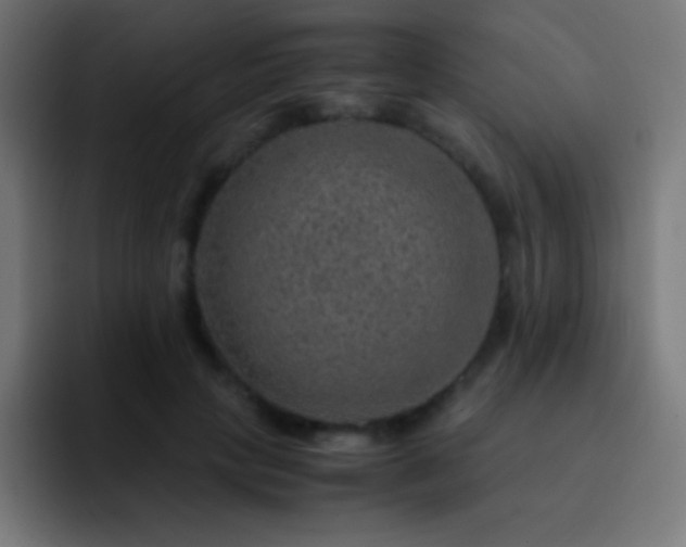 X0000093100649200710031830