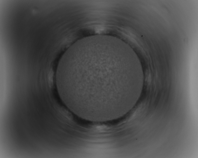 X0000093100650200710031830