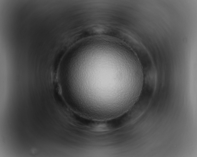 X0000093100651200710031830