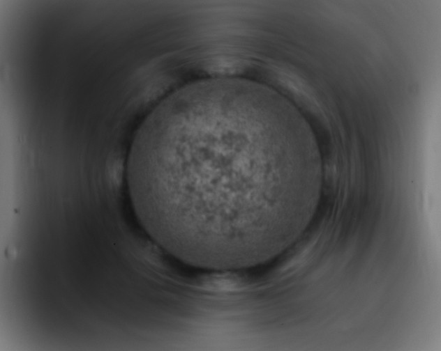 X0000093100652200710031830