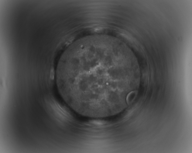 X0000093100654200710031831