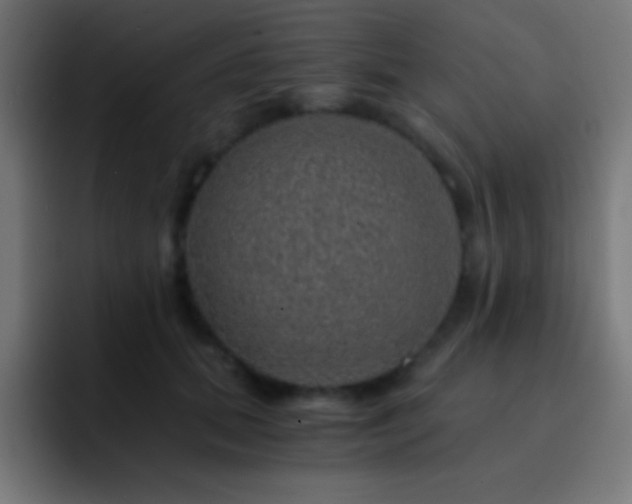 X0000093100655200710031831