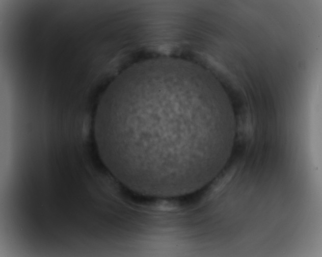 X0000093100656200710031831