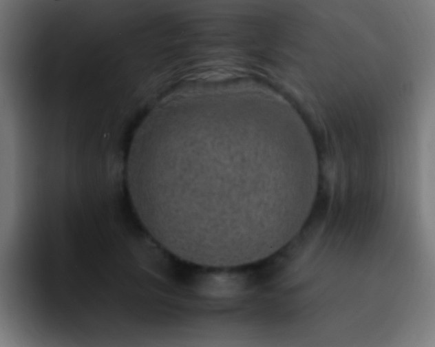 X0000093100657200710031831