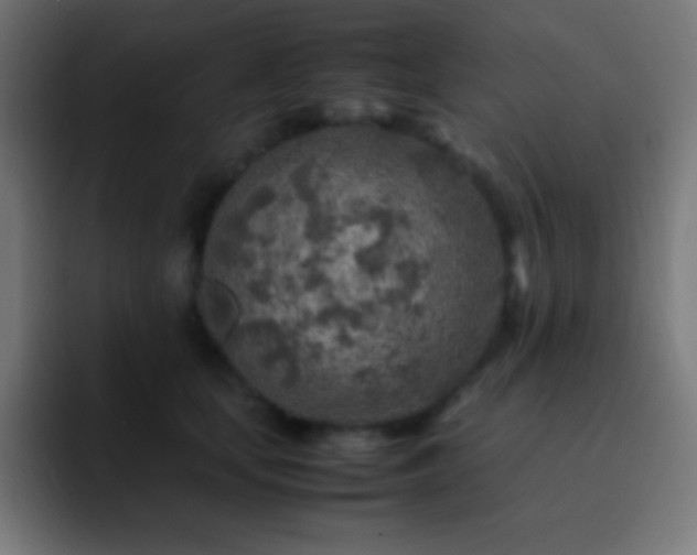X0000093100659200710031831