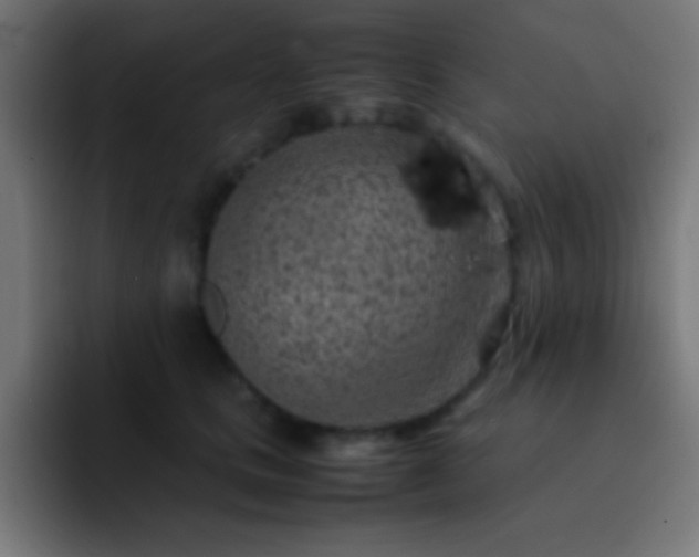 X0000093100661200710031831