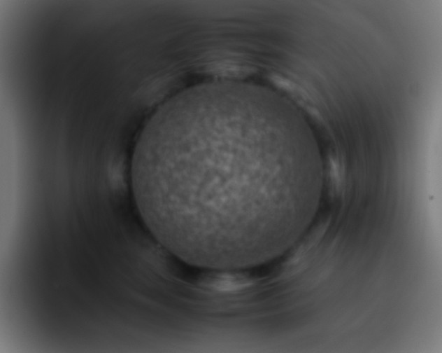 X0000093100663200710031831