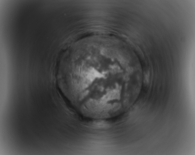 X0000093100666200710031831