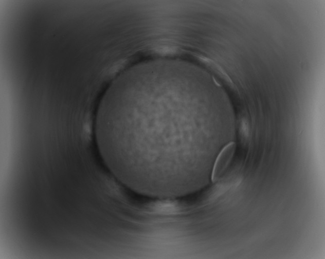 X0000093100668200710031831