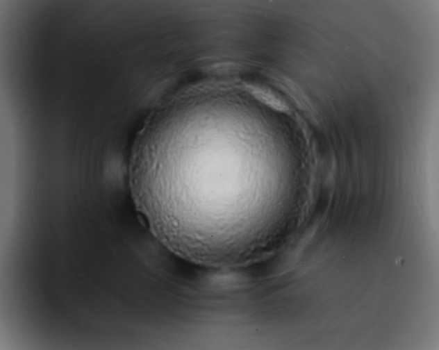 X0000093100669200710031831