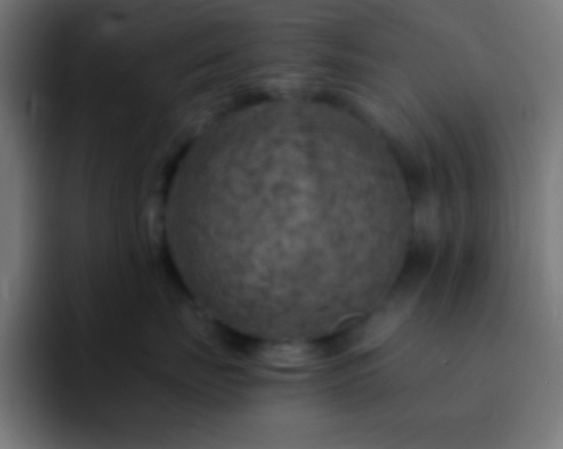X0000093100671200710031831