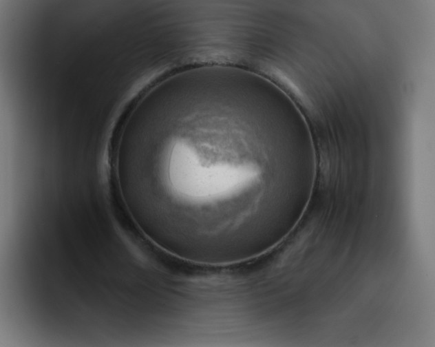 X0000093100674200710031830