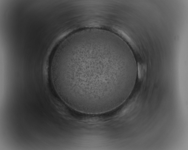 X0000093100675200710031830