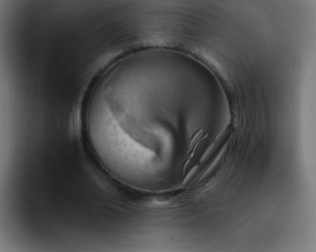 X0000093100678200710031830