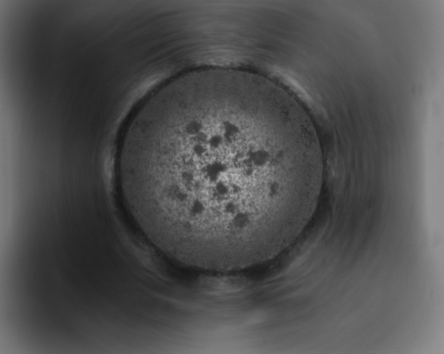 X0000093100679200710031830