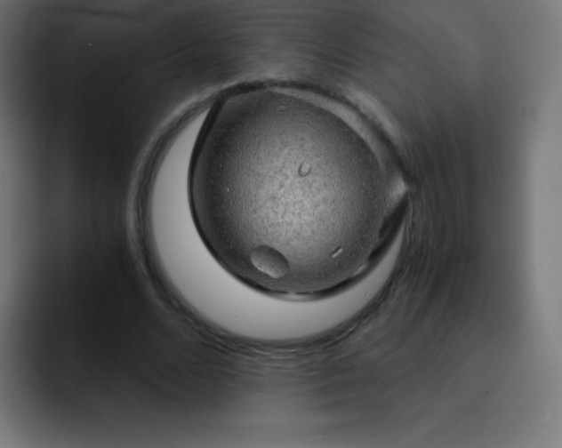 X0000093100680200710031830