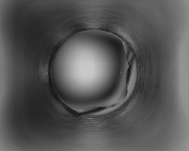 X0000093100681200710031830