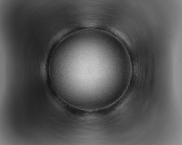 X0000093100682200710031830