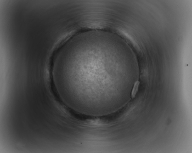 X0000093100688200710031830