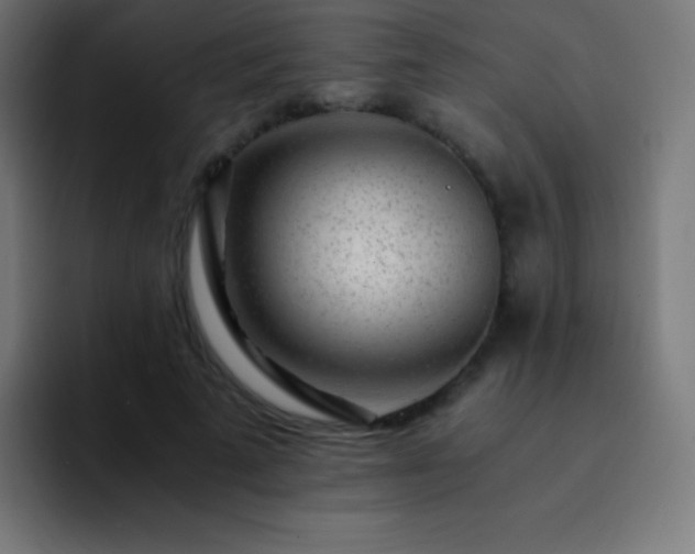 X0000093100689200710031830
