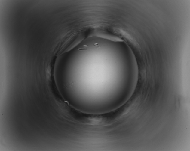 X0000093100693200710031830