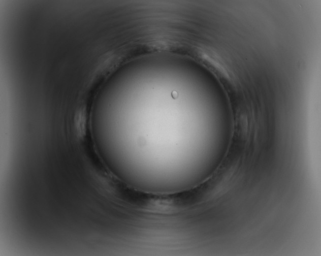 X0000093100694200710031830