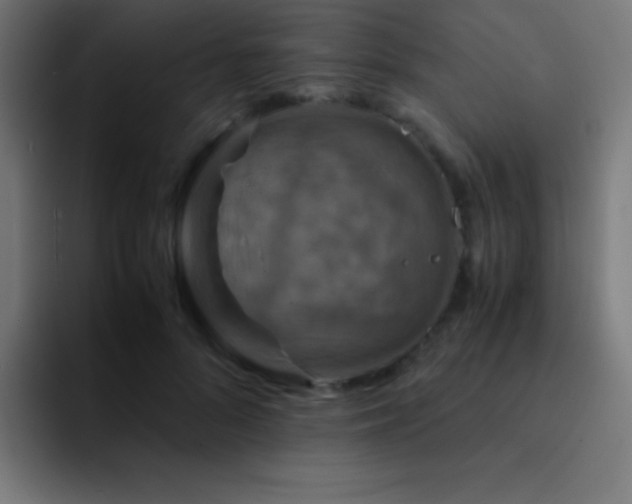 X0000093100696200710031830