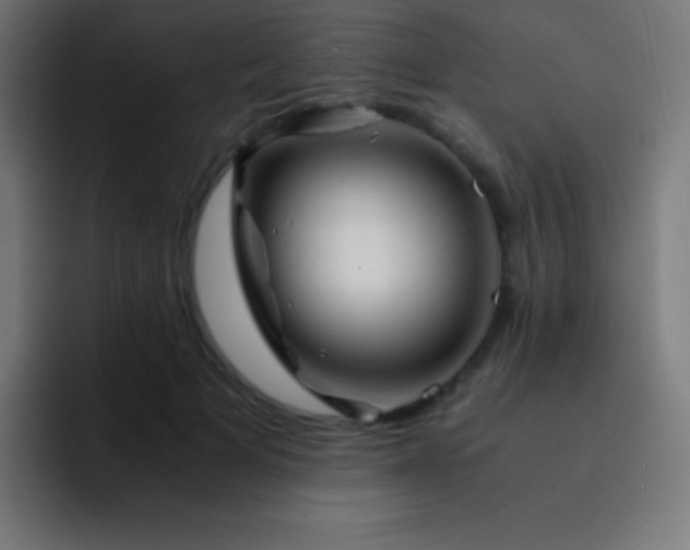 X0000093100697200710031830