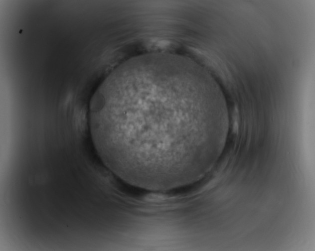 X0000093100699200710031830