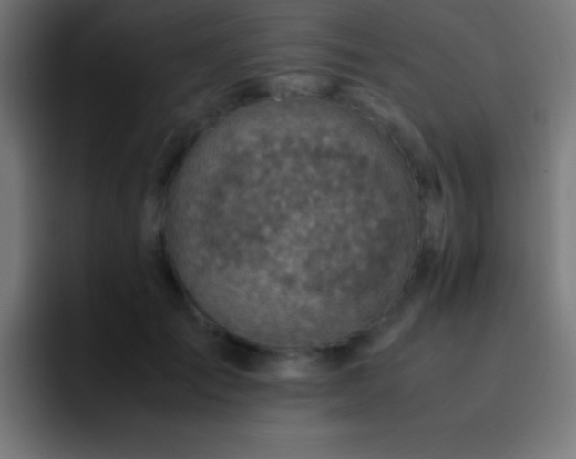 X0000093100701200710031830