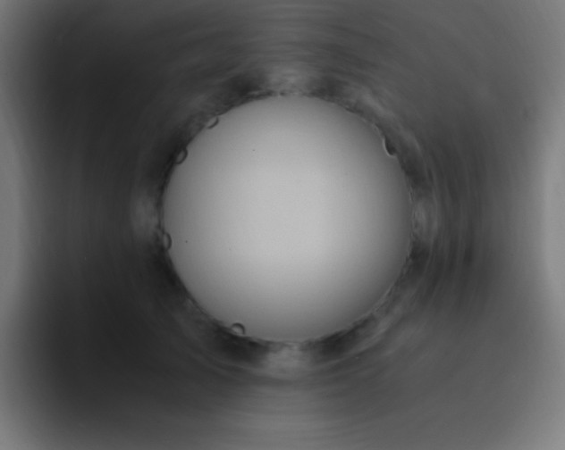 X0000093100705200710031830