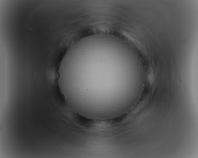 X0000093100709200710031830