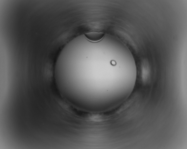X0000093100710200710031830
