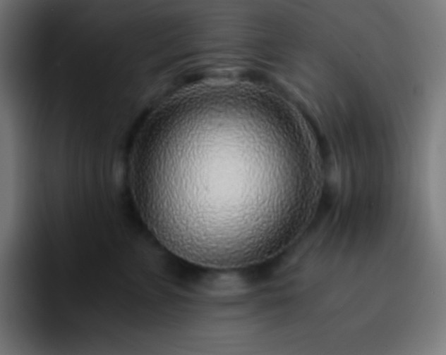 X0000093100715200710031830