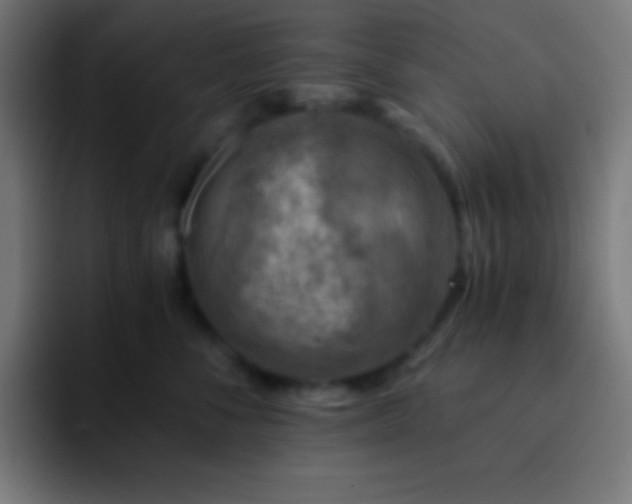 X0000093100716200710031830