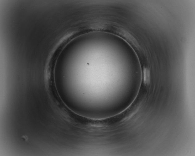 X0000093100723200710031829