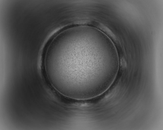 X0000093100724200710031829