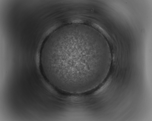 X0000093100725200710031829