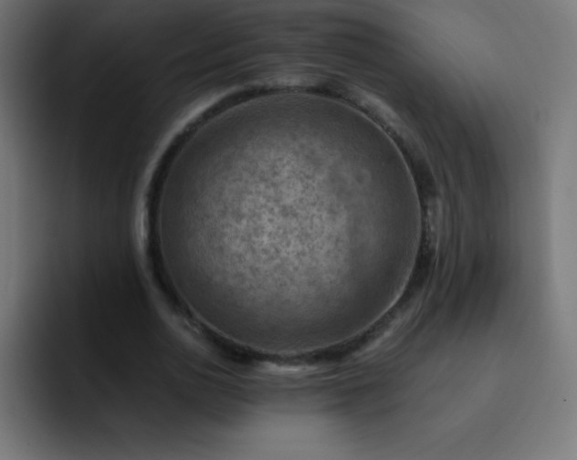 X0000093100726200710031829